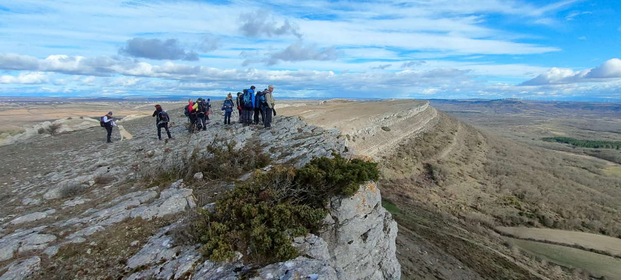 WhatsApp Image 2026-02-10 at 14.47.48 (4)